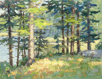Y-Morning-In-The-Spruce-Forest-14x18